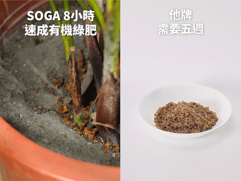 速成綠肥 有機模式, 環菌錠, 速成發酵, 有機速成綠肥, 廚餘機有機模式, 綠肥製造, 廚餘快速發酵, 90°C 自然發酵, 廚餘催化技術, 廚餘轉化有機肥, 環保廚餘解決方案, 廚餘機功能, 廚餘堆肥, 有機肥料製作, 廚餘速成技術, 廚餘發酵模式, 廚餘轉化技術, 廚餘肥料生產, 環保堆肥設備, 廚餘機推薦, 智能廚餘機, 廚房垃圾堆肥技術, 家用廚餘機, 有機肥速成技術, 廚餘處理設備